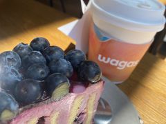 -Wagas沃歌斯(富力广场店)