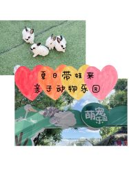 -萌宠亲子动物乐园(槐房万达店)