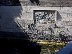 -趵突泉景区
