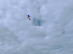 -人民防洪胜利纪念塔