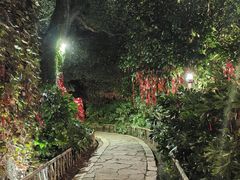 -乌镇西栅景区-月老庙