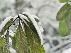 -藏龙百瀑风景区