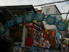 -猫咪博物馆(顶澳仔猫街店)