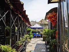-先机泉水鸡汤(南山老君洞店)