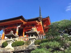 -维乐口腔医院(福清院)