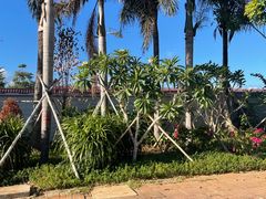 -三亚湾电动车租赁(三亚湾店)