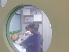 -半岛宠物医院24小时(科华中路店)