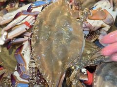 -旺角小渔村(幸福中路店)