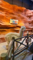 -酷嗒动物文化乐园(cutezoo西溪乐天城店)