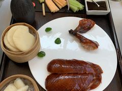 -梧桐