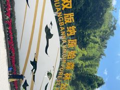 -西双版纳原始森林公园