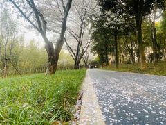 -幸福湖国际会议中心