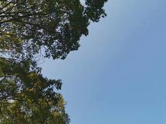 -同里国家湿地公园