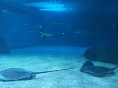 -常州海昌海洋探索馆