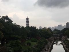 -广州都市观光巴士(粤陶巴)