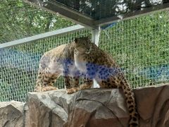 -青藏高原野生动物园