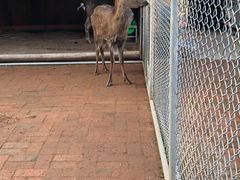 -长白山万达喜来登度假酒店