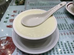 姜撞奶-义顺牛奶公司(新马路老店)