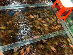 -王四营海鲜市场