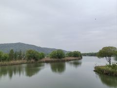-长广溪湿地公园
