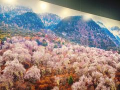 -罗红摄影艺术馆