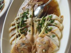 -骏莱海鲜鱼港(五角场店)