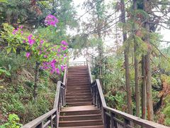 -呈贡滇池生态湿地公园