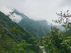 -太鲁阁公园