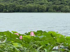 -渤公岛生态公园