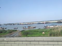 -合肥滨湖国家森林公园