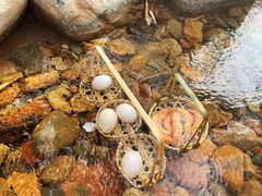 -厦门日月谷温泉渡假村