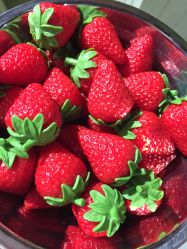 -幻贝家儿童乐园(苏州中心店)