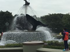 -晶荷轩(香港迪士尼乐园酒店)
