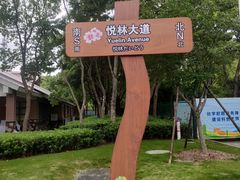 -自然谷恐龙园