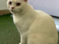 -南蚝小贝海鲜特色餐厅(南澳岛店)