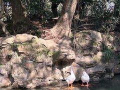 -兰亭风景区