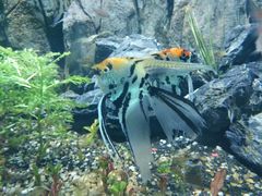 -重庆欢乐海底世界