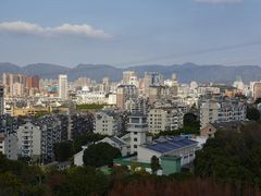 -福道