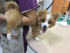 -惠康宠物医院(华能路店)