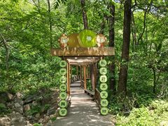 -大岭沟猕猴桃谷风景区
