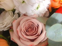-花生FM_FLOWERS