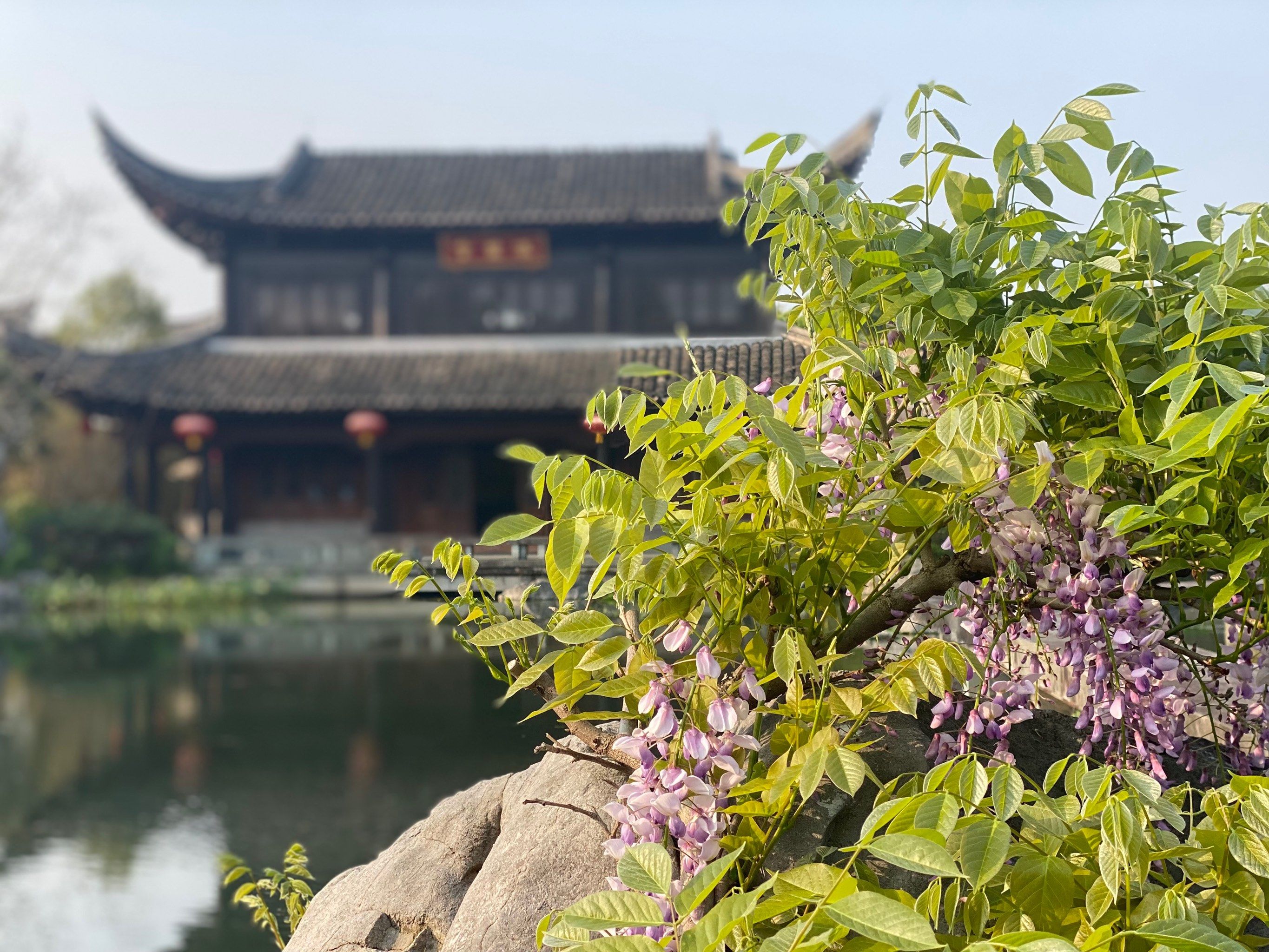 梁祝公园你不宣传你糊涂啊