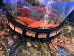 海鲜池-陶陶居海鲜酒家(新马路店)