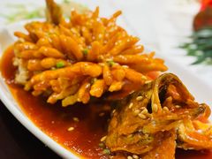 松鼠桂鱼-峨嵋酒家(地安门店)
