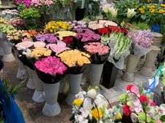 -双季花艺园艺市场(浦东店)