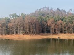 -青龙山国家森林公园
