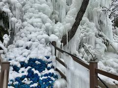 -沂蒙山旅游区云蒙景区(蒙山国家森林公园)
