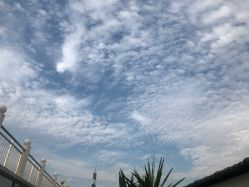 -澜德尔美学中心