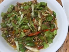 -滇铺子·云南特色菜·第九届野生菌美食节(东风东路c86店)