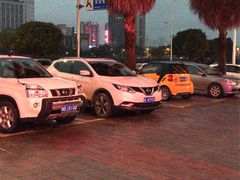 -醉美东江·三文鱼·烧鸡公
